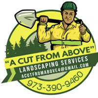 A CUT FROM ABOVE LANDSCAPING AND HARDSCAPING